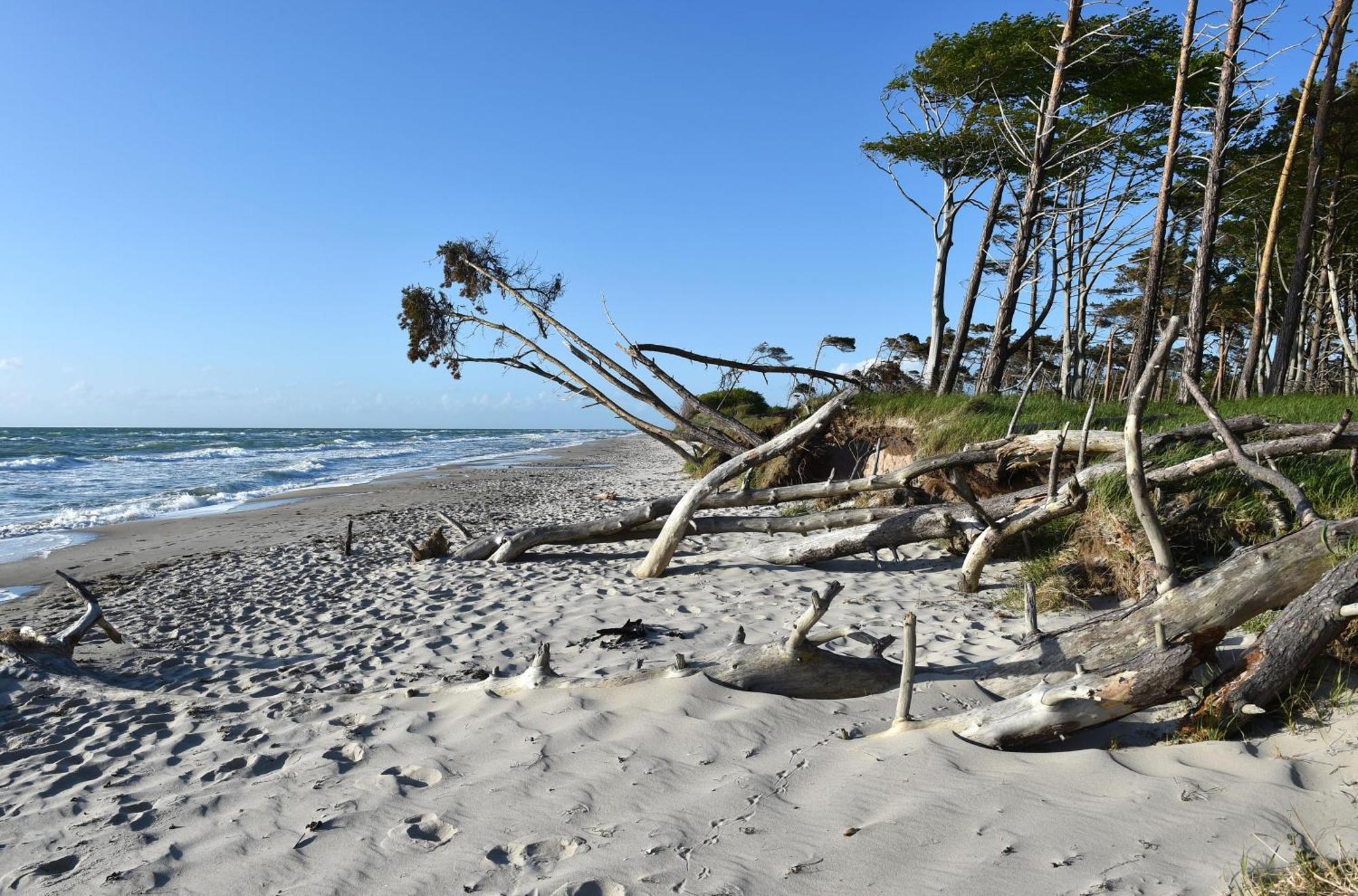 Meeresbrise Im Ostseeheilbad Zingst Ngoại thất bức ảnh